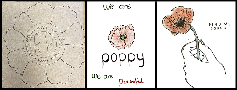 Hove Park School logo designs for Project Poppy